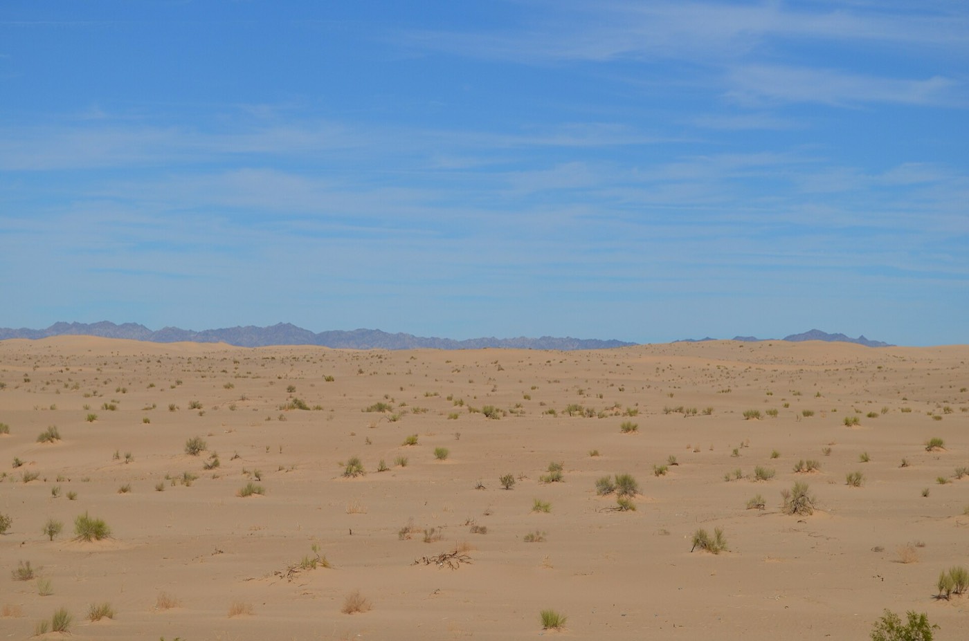 Buttercup Valley riding area
