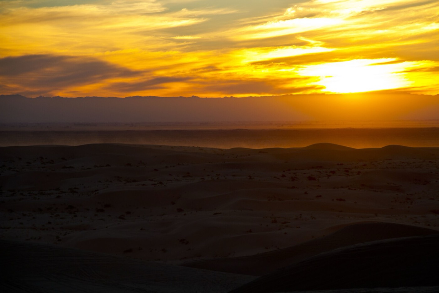 Imperial Sand Dunes / Glamis riding area