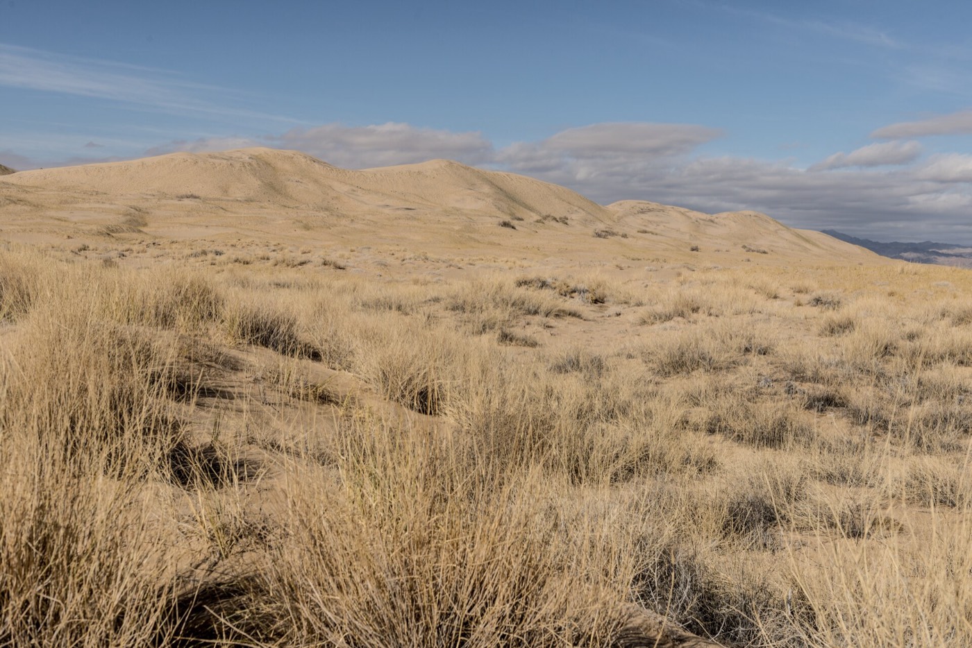 Hungry Valley SVRA riding area