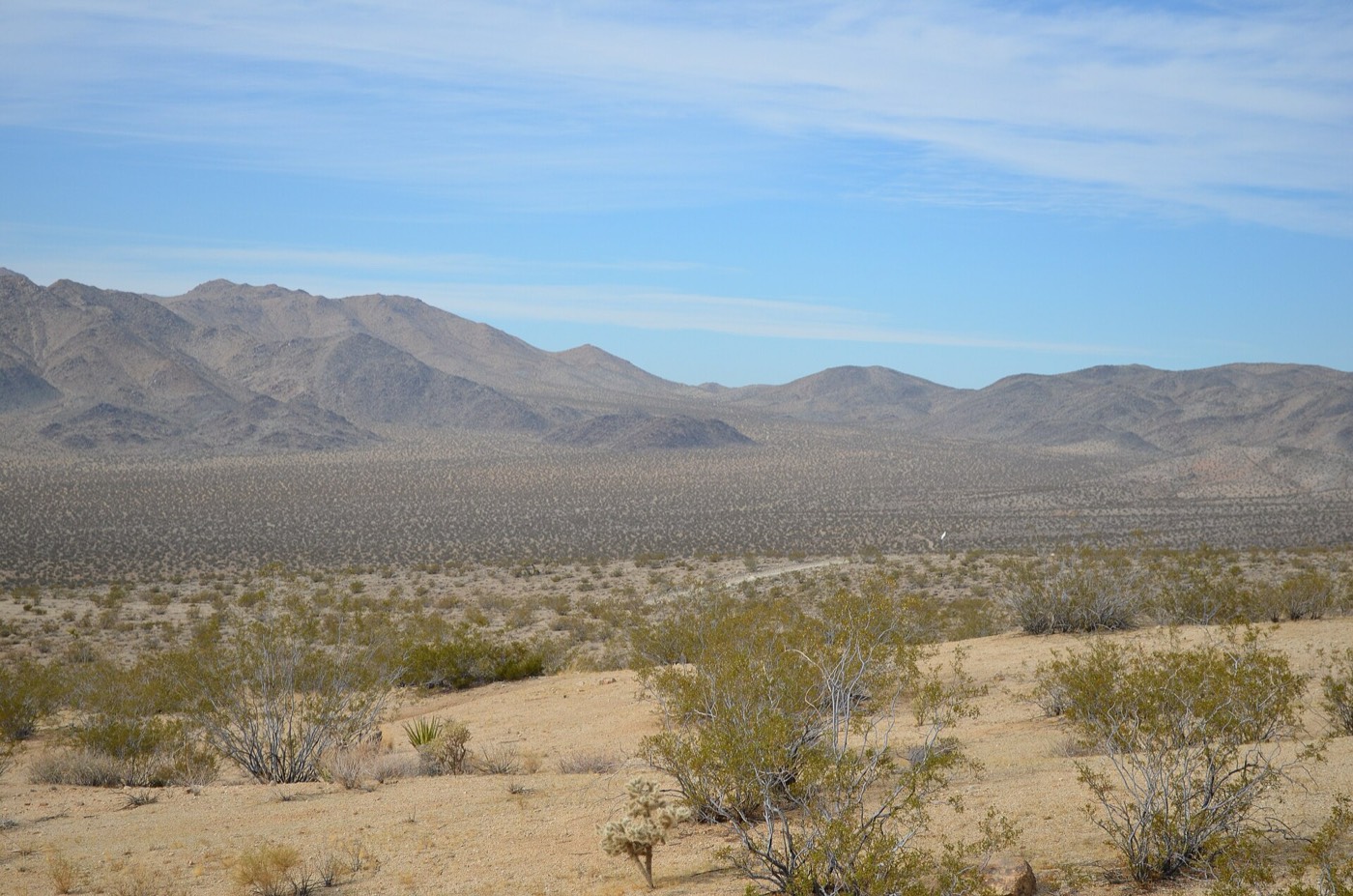 Johnson Valley OHV Area riding area